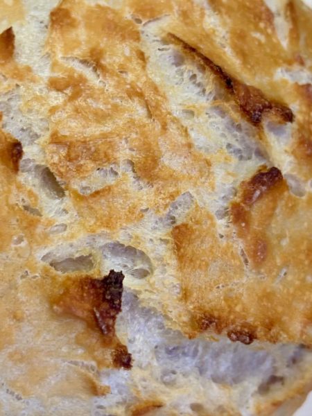 Artisan Bread in Dutch Oven